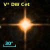 V* DW Cet