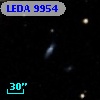 LEDA    9954
