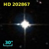 HD 202867