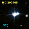 HD 202405