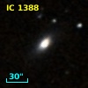 IC 1388