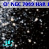 Cl* NGC 7089    HAR    1195