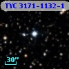 TYC 3171-1132-1