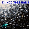 Cl* NGC 7089    HAR    1289