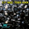 Cl* NGC 7089    HAR    1307