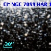 Cl* NGC 7089    HAR    1306