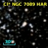Cl* NGC 7089    HAR    1197