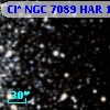 Cl* NGC 7089    HAR    1137