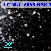 Cl* NGC 7089    HAR    1199