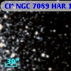 Cl* NGC 7089    HAR    1096