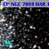 Cl* NGC 7089    HAR    1136