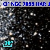 Cl* NGC 7089    HAR    1167