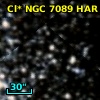 Cl* NGC 7089    HAR    1092