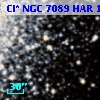 Cl* NGC 7089    HAR    1201