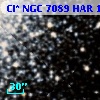 Cl* NGC 7089    HAR    1204