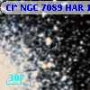 Cl* NGC 7089    HAR    1067