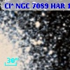 Cl* NGC 7089    HAR    1089
