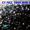 Cl* NGC 7089    HAR    1299