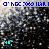 Cl* NGC 7089    HAR    1291