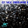 Cl* NGC 7089    HAR    1308