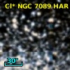 Cl* NGC 7089    HAR    1031