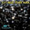 Cl* NGC 7089    HAR    1317