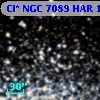 Cl* NGC 7089    HAR    1007