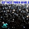 Cl* NGC 7089    HAR    1336