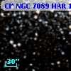 Cl* NGC 7089    HAR    1325