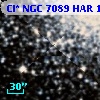 Cl* NGC 7089    HAR    1381