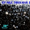 Cl* NGC 7089    HAR    1331