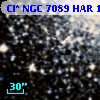 Cl* NGC 7089    HAR    1382
