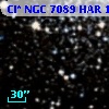 Cl* NGC 7089    HAR    1327