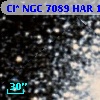 Cl* NGC 7089    HAR    1510