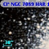 Cl* NGC 7089    HAR    1516