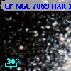 Cl* NGC 7089    HAR    1515