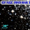 Cl* NGC 7089    HAR    1384