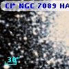 Cl* NGC 7089    HAR    1401