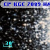 Cl* NGC 7089    HAR    1452