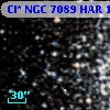 Cl* NGC 7089    HAR    1461