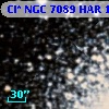 Cl* NGC 7089    HAR    1546