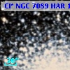 Cl* NGC 7089    HAR    1569