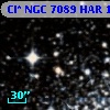 Cl* NGC 7089    HAR    1589