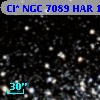 Cl* NGC 7089    HAR    1594