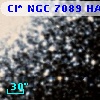 Cl* NGC 7089    HAR    1254