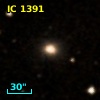 IC 1391