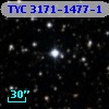TYC 3171-1477-1