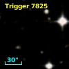Trigger  7825