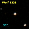 Wolf 1338