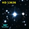 HD  13636